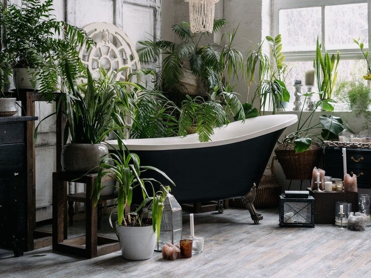 Freistehende schwarze Badewanne inmitten üppiger Zimmerpflanzen vor rustikalem Fenster und Holzboden.