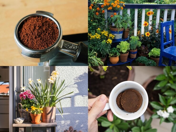 Vier Garten- und Kaffeebilder zeigen Blumentöpfe, Gemüsebeet, Kaffeesatz im Siebträger und eine Hand mit leerer Tasse.