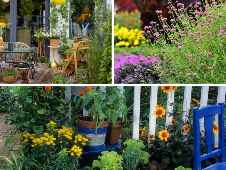 Liebevoll bepflanzter Balkon mit Holzmöbeln und Blumentöpfen, daneben bunte Sommerblumen und Gemüsepflanzen am Zaun.