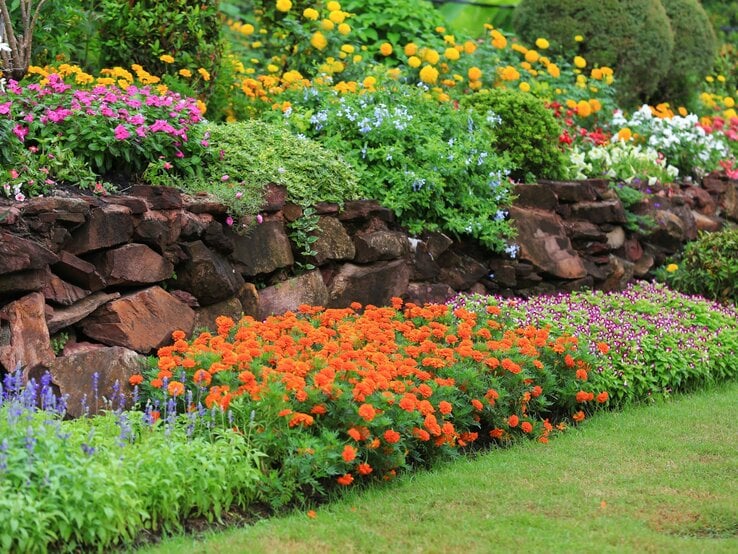 Mehrstufiges Blumenbeet mit leuchtend bunten Sommerblumen vor einer rustikalen Natursteinmauer im gepflegten Garten.