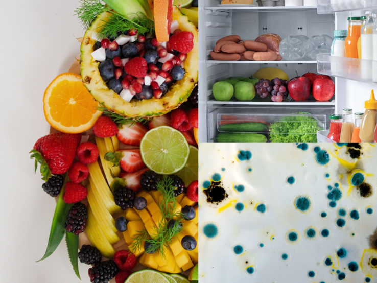 Frische Früchte aufgeschnitten neben einem vollen Kühlschrank und einer Nahaufnahme von grün-blau verschimmelter Oberfläche.