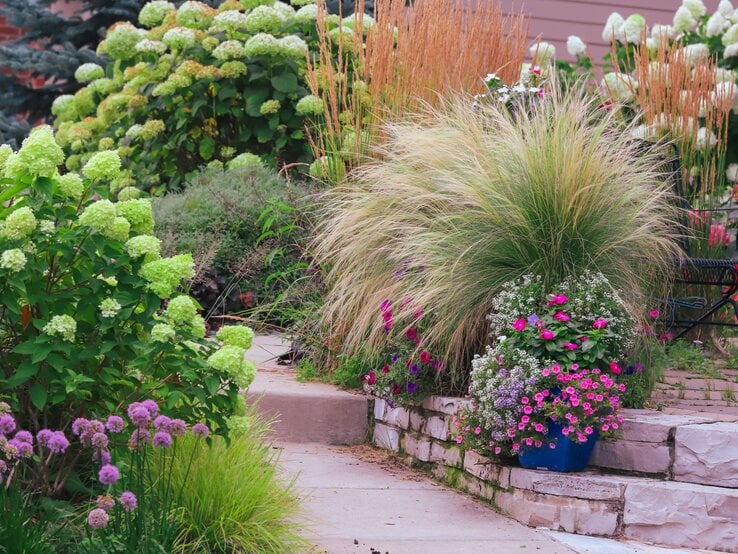 Üppiger Hauseingang mit Ziergräsern, blühenden Hortensien und pinken Sommerblumen in blauem Kübel auf Natursteinmauer.