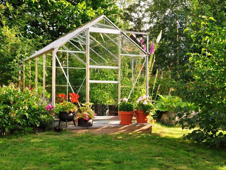 Ein gläsernes Gewächshaus steht von Blumen umgeben auf Holzpodest im sonnigen Garten mit üppigem Grün im Hintergrund.