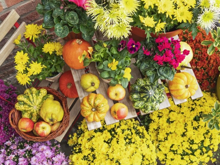 Balkon mit bunten Herbstblumen und Deko.