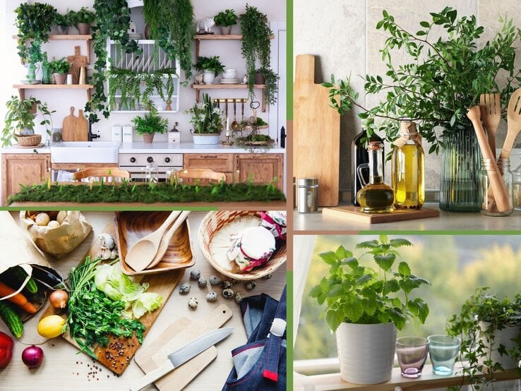 Eine helle Landhausküche mit offenen Holzregalen, üppigen grünen Pflanzen und weißen Keramiktellern, die eine gemütliche Atmosphäre schafft.