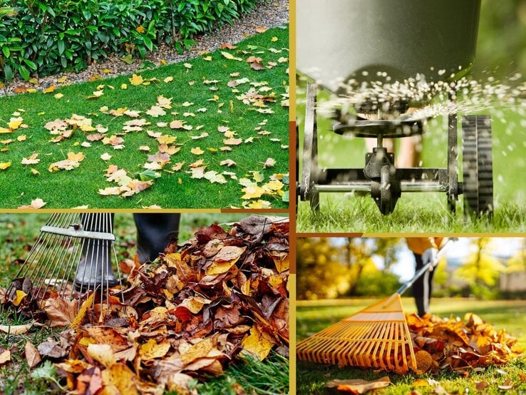 Person in gelber Jacke harkt mit orangem Rechen bunte Herbstblätter auf einer sonnigen Wiese zusammen.