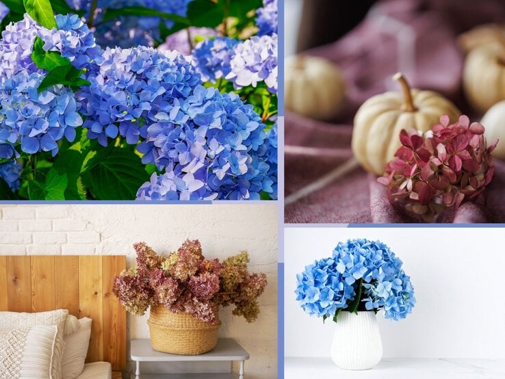 Ein Korb mit getrockneten Hortensien in Rosa- und Gelbtönen steht dekorativ auf einem Nachttisch vor einer weißen Ziegelwand.
