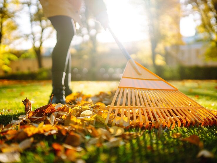Frau entfernt Herbstlaub aus dem Garten