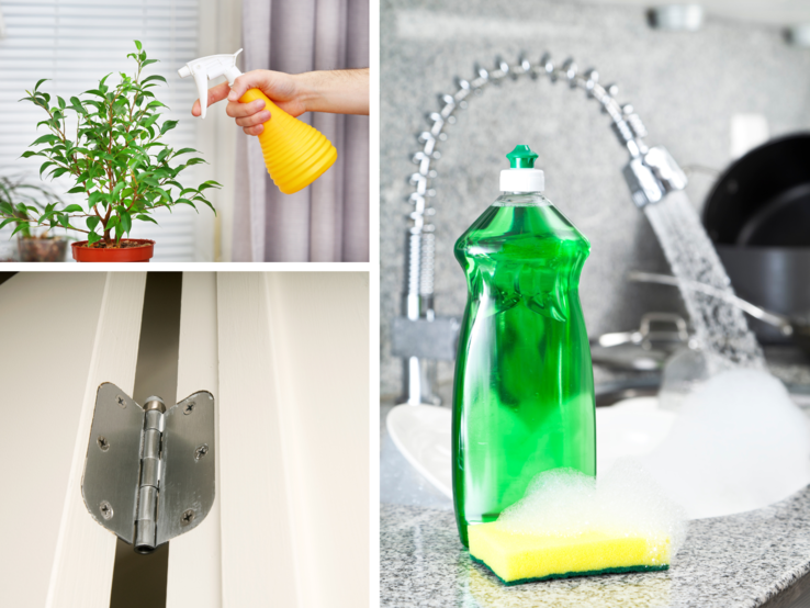 Eine Hand sprüht Zimmerpflanze mit gelber Flasche ein, daneben Türscharnier und Spülmittel mit Schwamm in schäumender Küche.