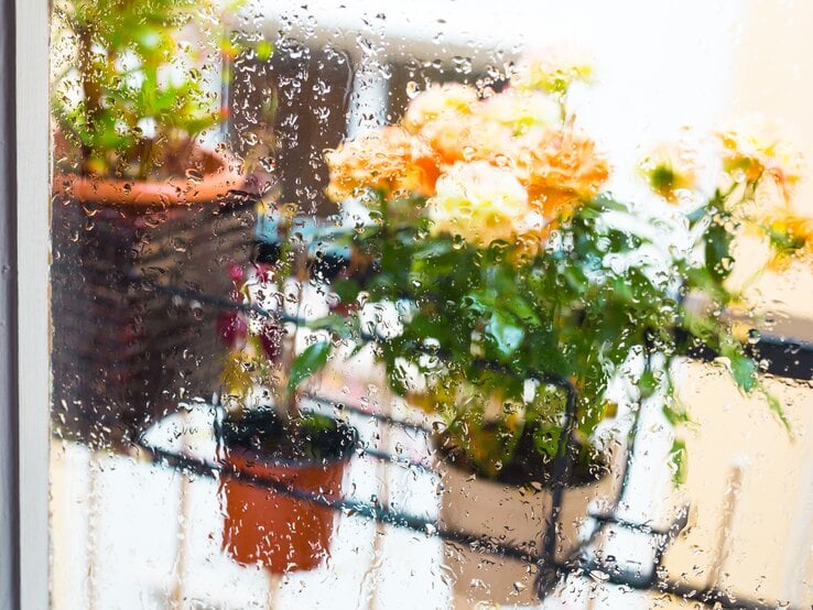 Regentropfen auf einer Fensterscheibe, dahinter ein Balkon mit bunten Blumentöpfen, dominierend orangefarbene Blüten im diffusen Licht.
