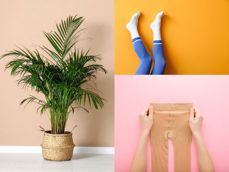 Eine grüne Zimmerpalme in einem geflochtenen Korb steht auf hellem Boden vor einer beigefarbenen Wand.