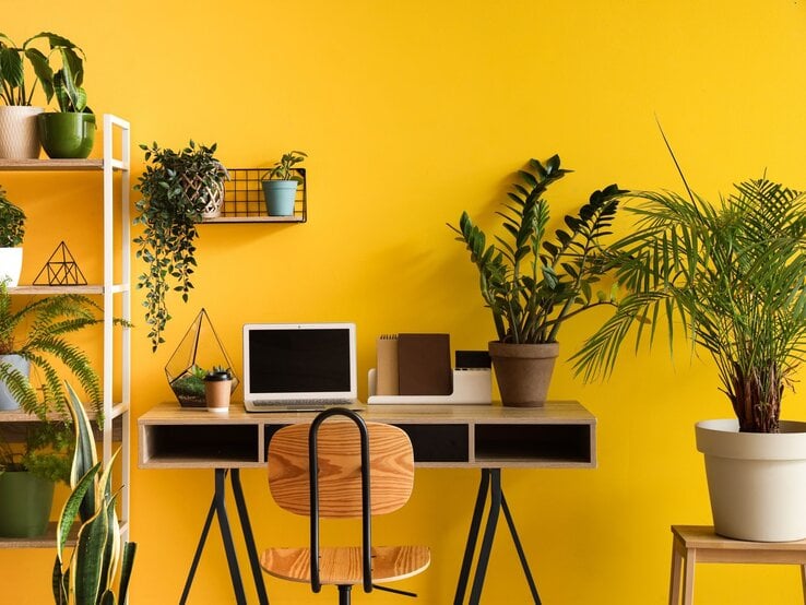 Ein Schreibtisch mit Laptop, Holzhocker und Unterlagen steht vor gelber Wand, umgeben von üppigen Zimmerpflanzen in Töpfen.