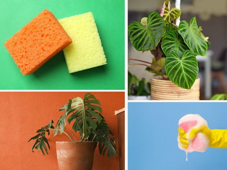 Zwei Reinigungsschwämme in Orange und Gelb liegen nebeneinander vor einem grünen Hintergrund.