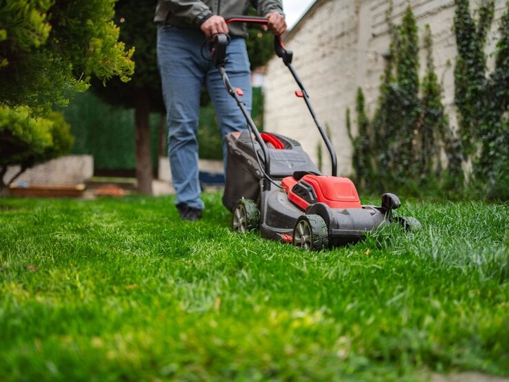 Eine Person in grauer Jacke und blauen Jeans mäht mit einem roten und schwarzen Rasenmäher grünes Gras in einem Garten mit Bäumen.