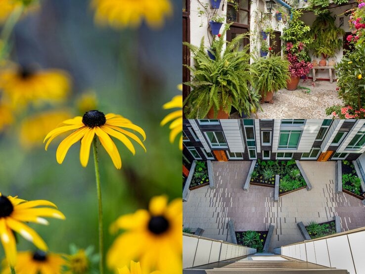 Mediterraner Innenhof mit üppigen Farnen, blühenden Pflanzen und Keramiktöpfen auf Natursteinboden.