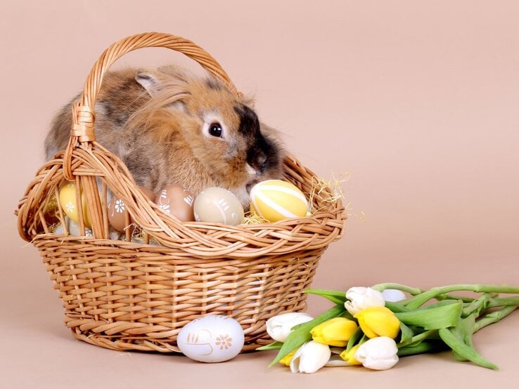 Ein braunes Löwenkopfkaninchen sitzt ruhig in einem Osterkorb voller bemalter Eier vor beigem Hintergrund.