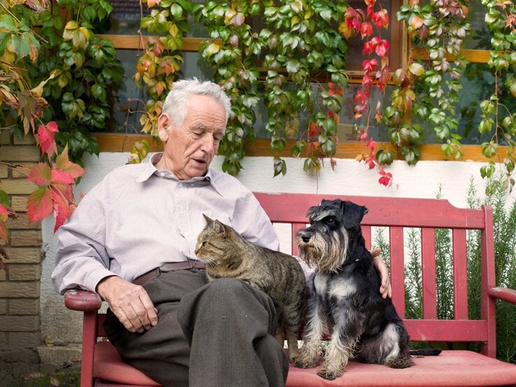 Älterer Mann mit grauem Haar sitzt entspannt auf roter Bank, streichelt graue Katze auf dem Schoß, daneben ein kleiner schwarzer Schnauzer.