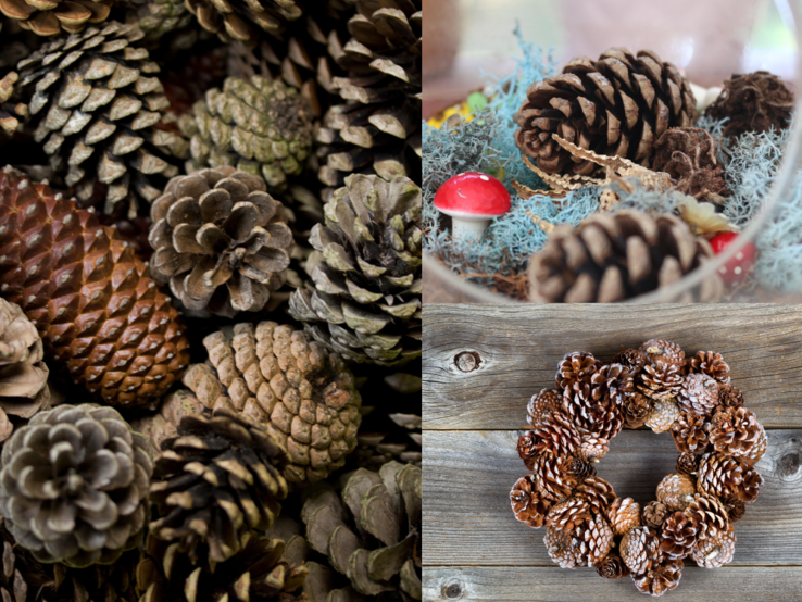 Unterschiedliche Tannenzapfen liegen dicht beieinander, dekorieren ein Glas mit Moos und Pilz sowie einen glitzernden Kranz auf Holz.