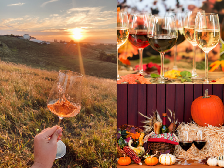 Herbstliche Weinmomente: Rosé im Sonnenuntergang, Gläser auf buntem Laub und Rotwein neben Kürbissen und Erntekorb auf Stroh.