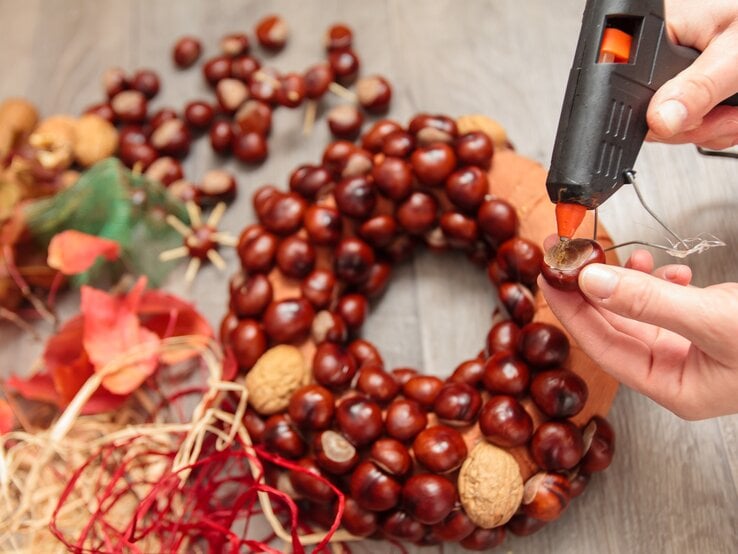 Person bastelt mit Kastanien, Walnüssen und rotem Bastband an einem herbstlichen Kastanienkranz auf grauem Holztisch.